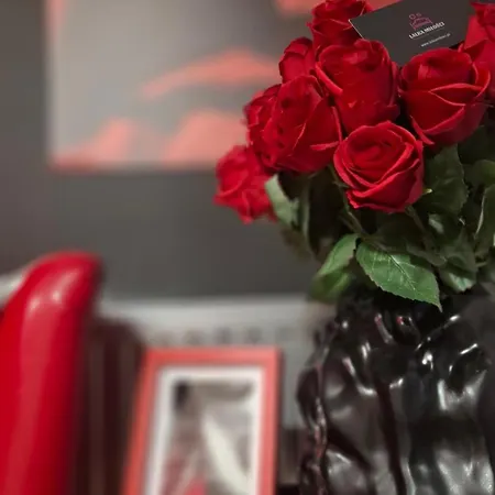 Pole Dance Apartment Lalka Milosci Βρότσλαβ