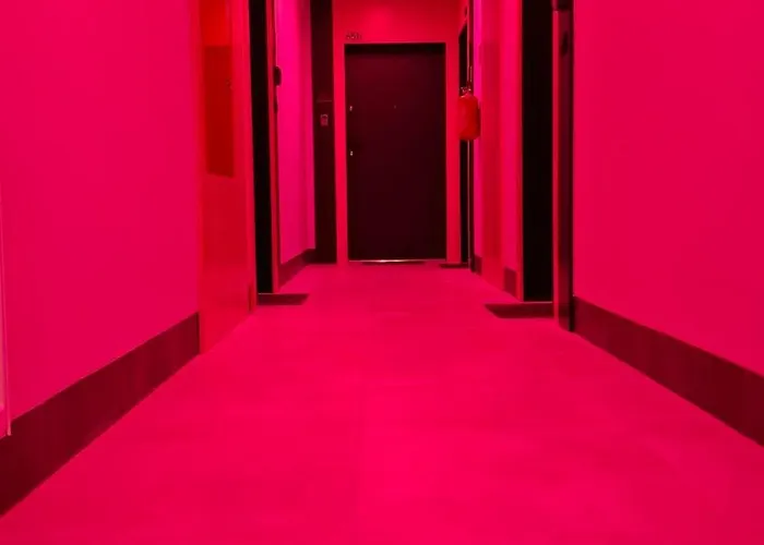 Pole Dance Lalka Milosci Wrocław