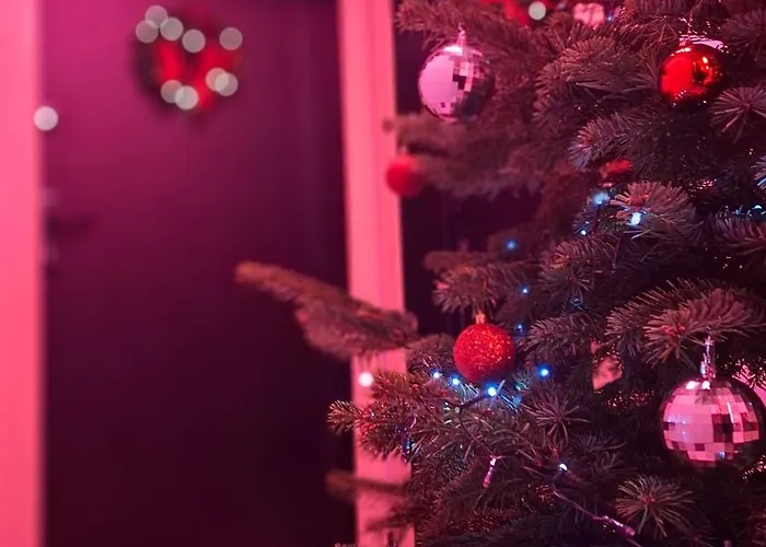 Pole Dance Lalka Milosci Apartman